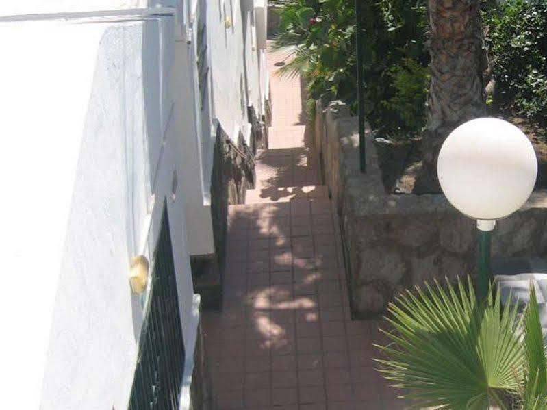 Apartamentos Laguna Puerto Rico  Bagian luar foto